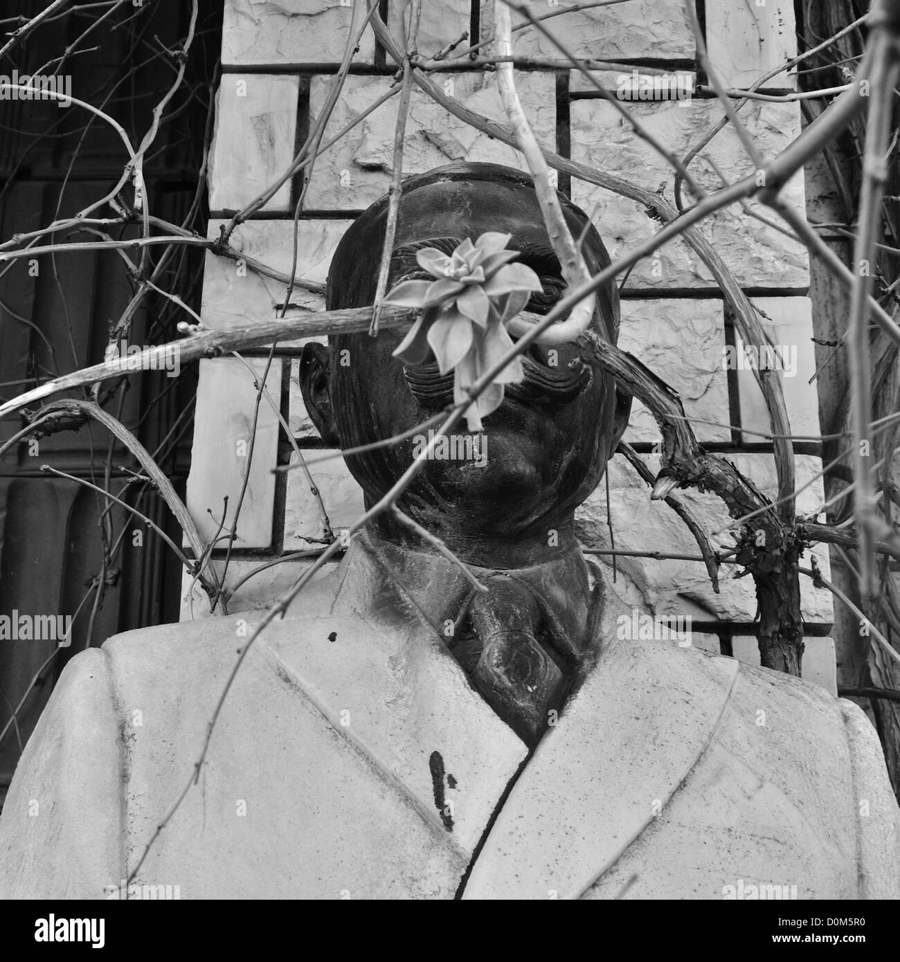 -Schaden Marmorstatue der Mann mit dem Schnurrbart von verwilderten Pflanzen verdeckt. Stockfoto