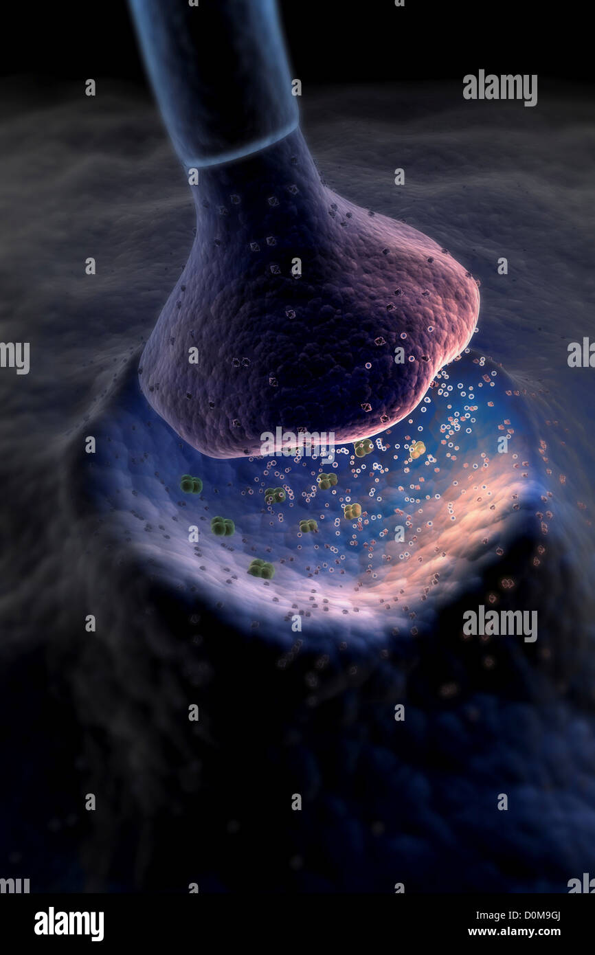 Mikroskopische gestylt Visualisierung einer Synapse. Stockfoto