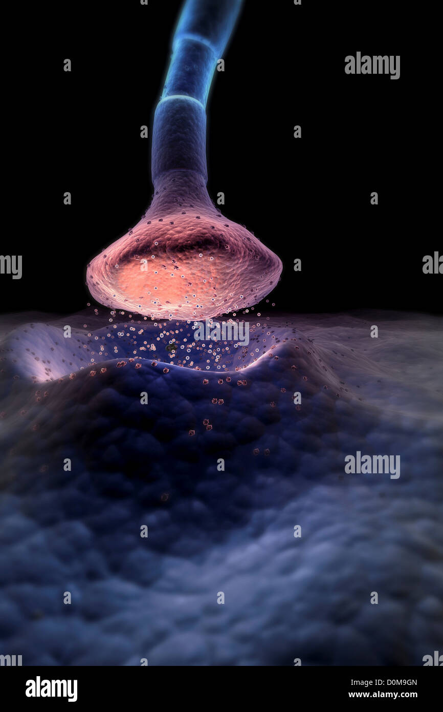 Mikroskopische gestylt Visualisierung einer Synapse. Stockfoto