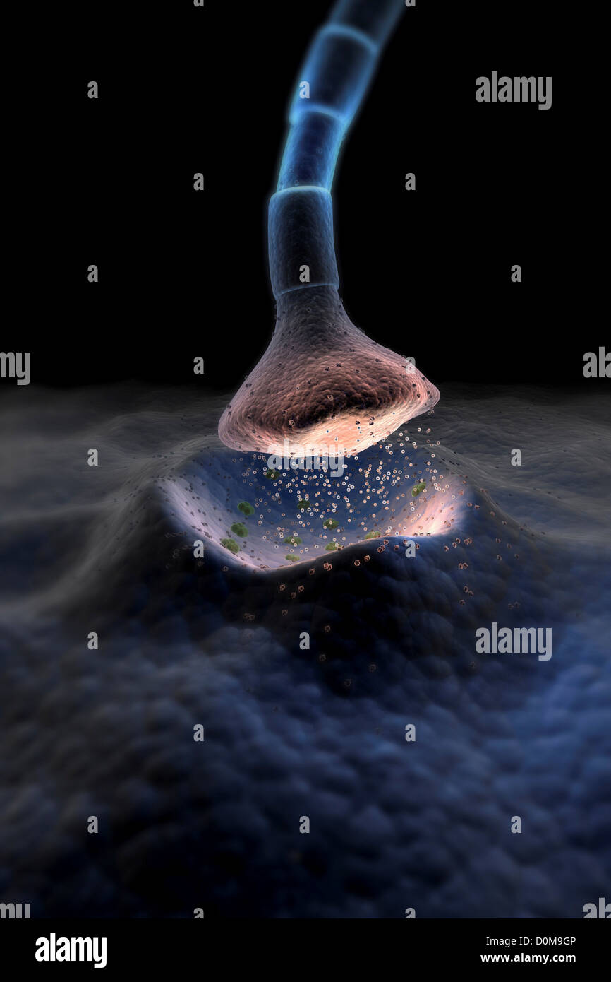 Mikroskopische gestylt Visualisierung einer Synapse. Stockfoto