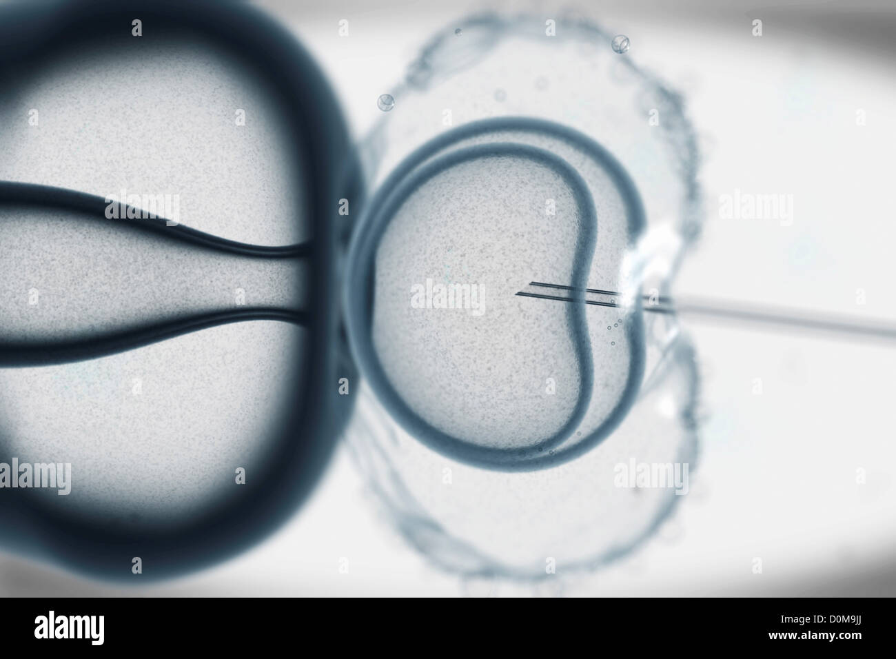 Stilisierte Darstellung von in-vitro-Befruchtung. Stockfoto