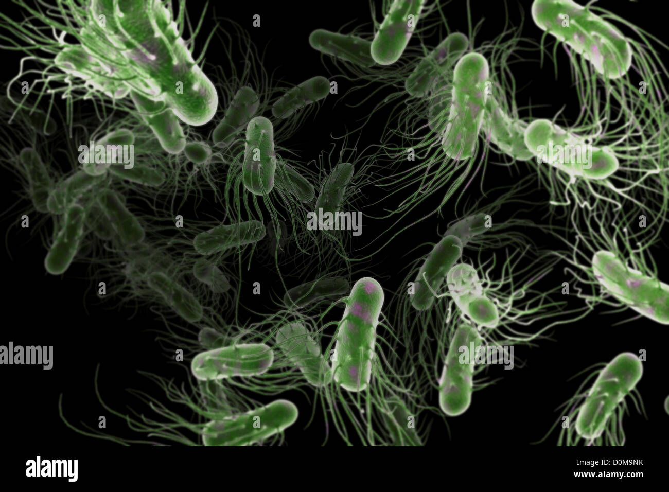 Scannen von Electromicrograph gestylt Stab förmige Bakterien. Stockfoto