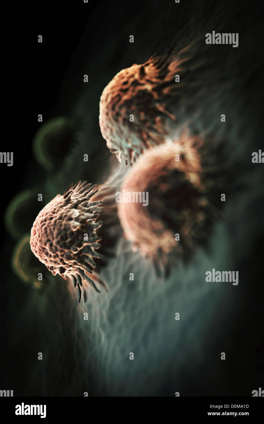 Scannen von Electromicrograph gestylt Osteoblasten Zellen, die mit der