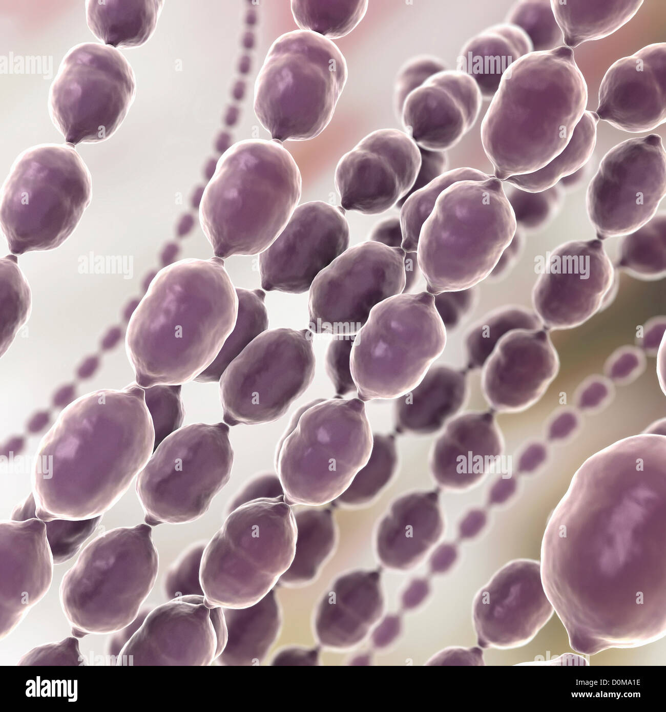 Stilisierte Nahaufnahme von Kokken Bakterium. Enterokokken, Staphylokokken und Streptokokken sind alle Arten von Kokken Bakterien. Stockfoto