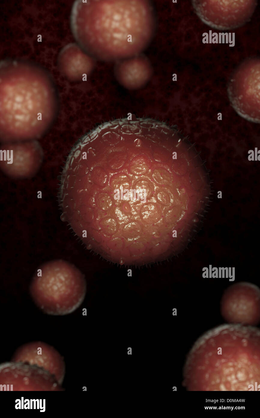 Stilisierte West-Nil-Virus-Zellen. Stockfoto