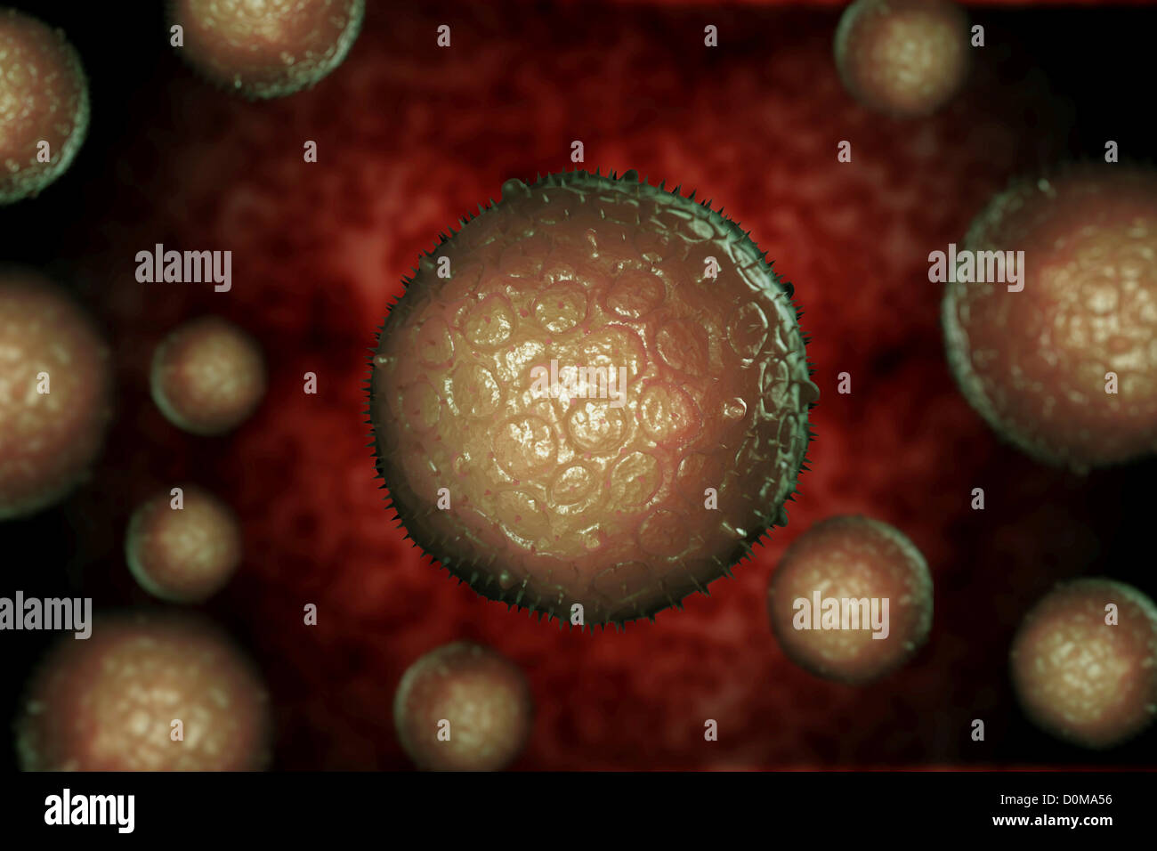 Stilisierte West-Nil-Virus-Zellen. Stockfoto