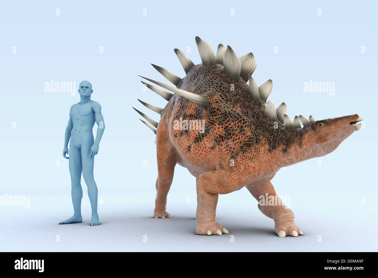Modell von einem Kentrosaurus Dinosaurier zeigt die Größe im Vergleich zu einem Menschen. Stockfoto