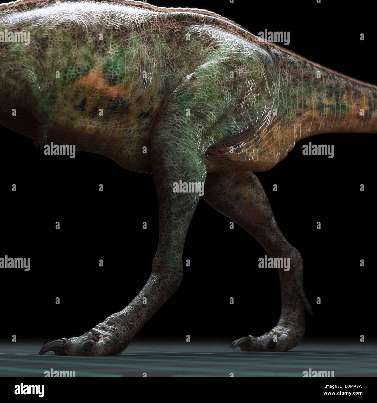 Hinterhand auf ein Modell Aucasaurus Dinosaurier. Stockfoto