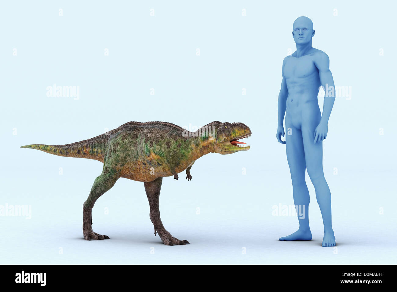 Modell eines Aucasaurus Dinosauriers zeigt die Größe im Vergleich zu einem Menschen. Stockfoto