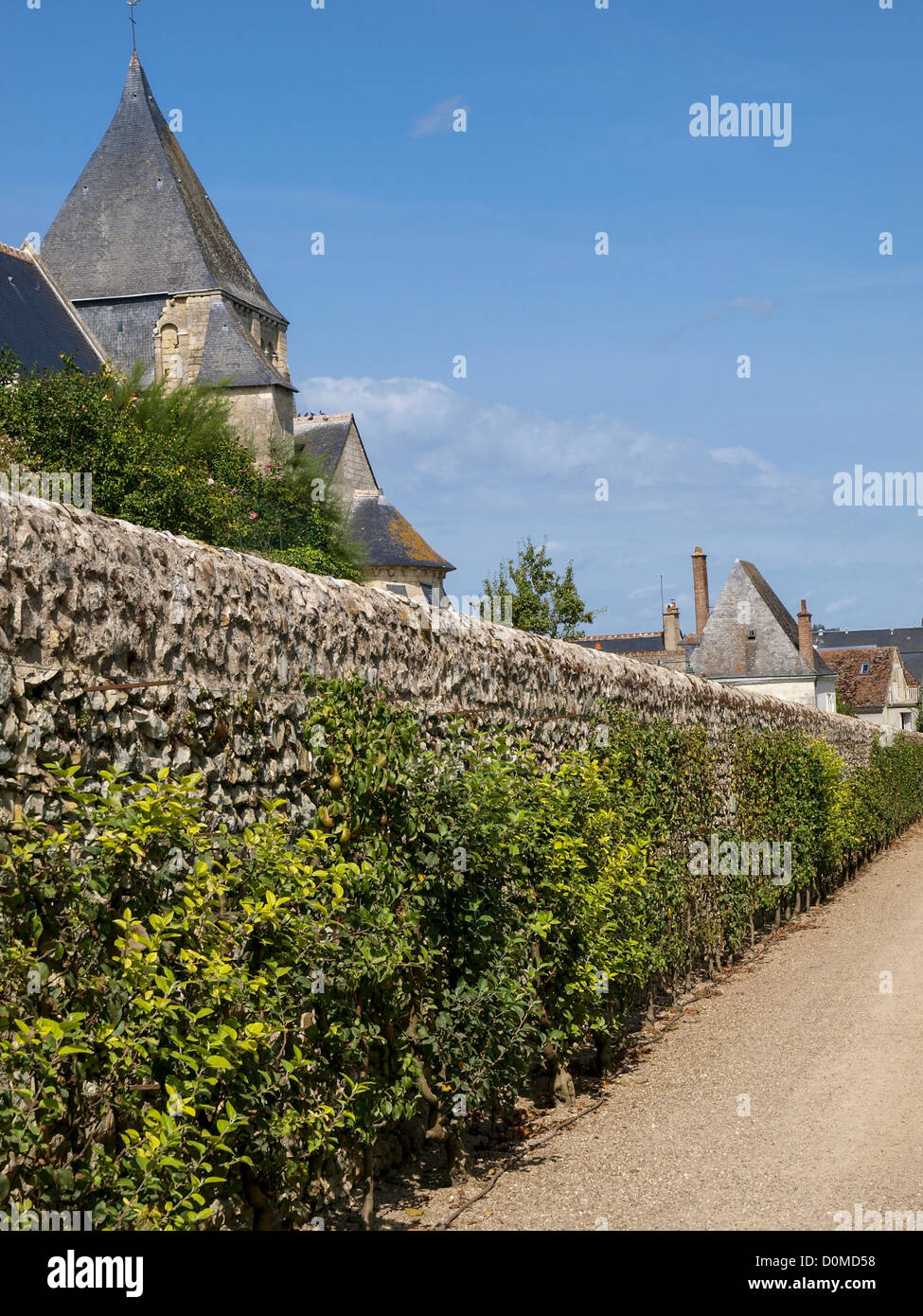 Château et Jardins de Villandry, Indre-et-Loire, historischer Garten, Frankreich, Loire-Tal, Villandry Stockfoto