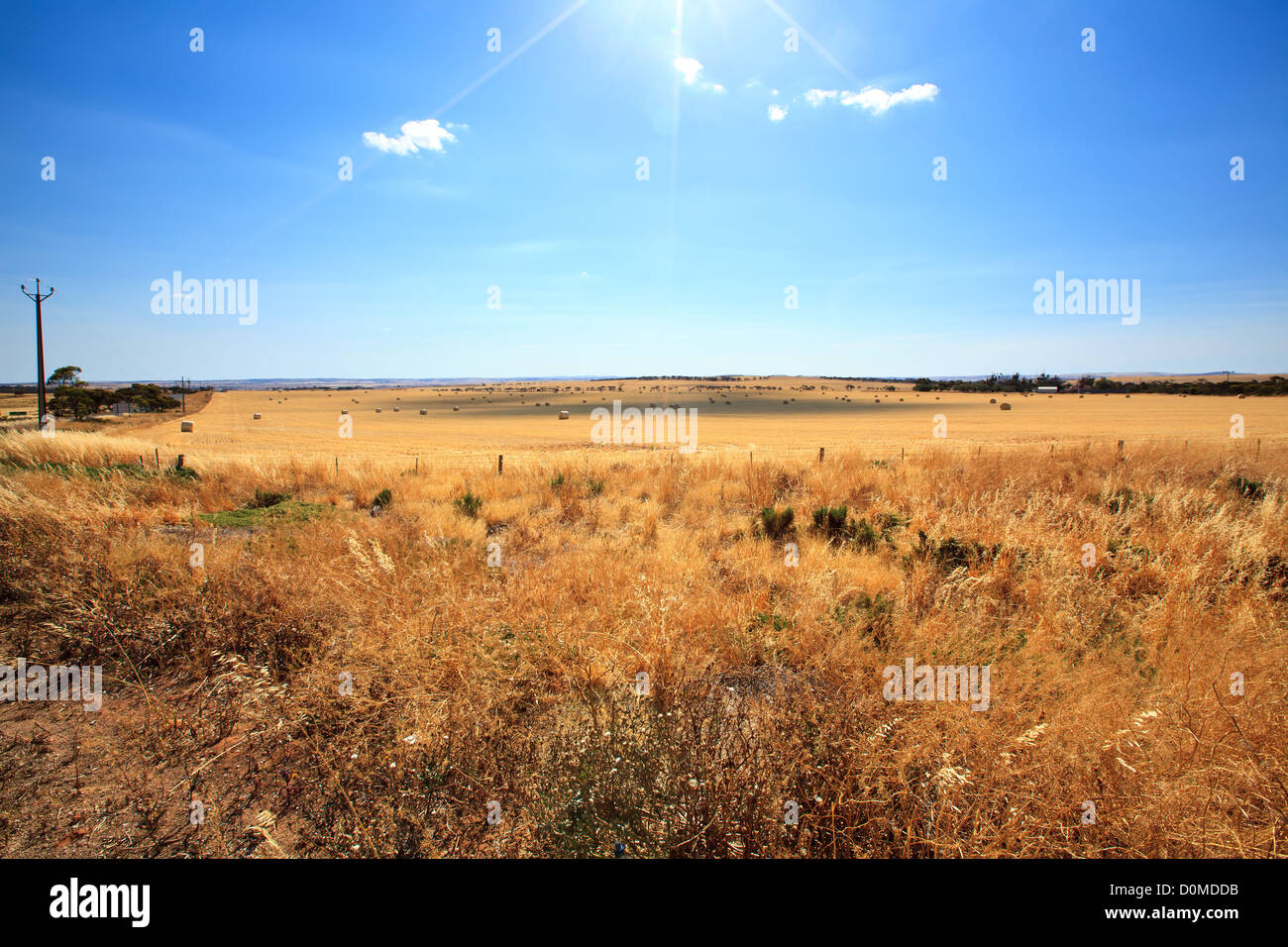 Heuballen in abgeernteten Feld Stockfoto