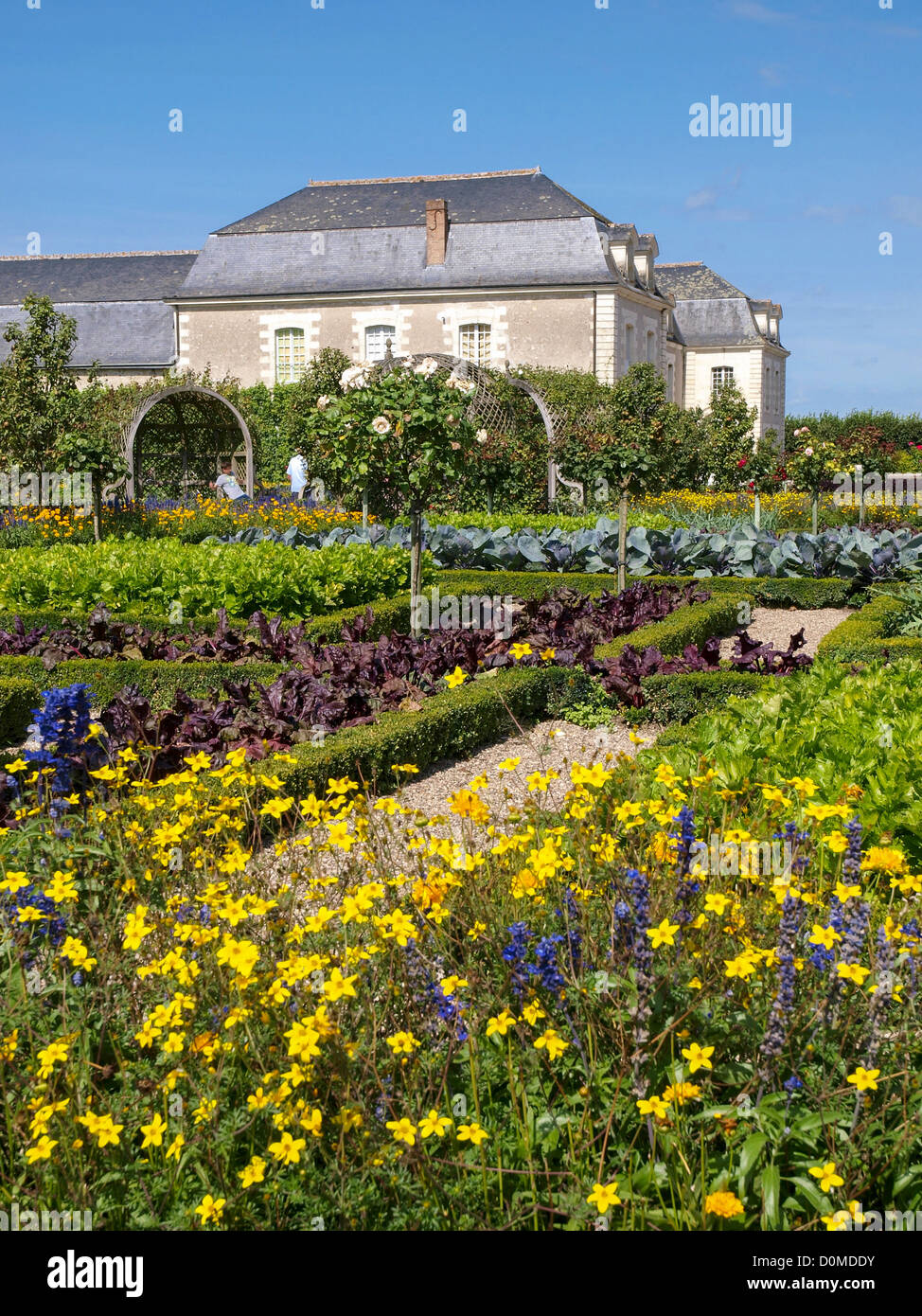 Château et Jardins de Villandry, Indre-et-Loire, historischer Garten, Frankreich, Loire-Tal, Villandry Stockfoto