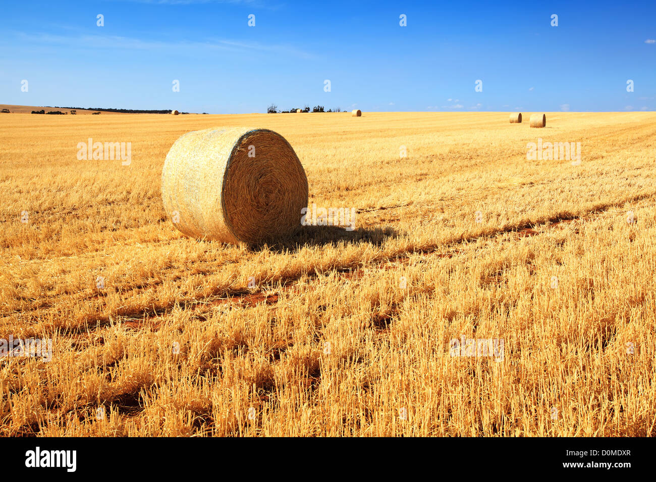 Heuballen in abgeernteten Feld Stockfoto