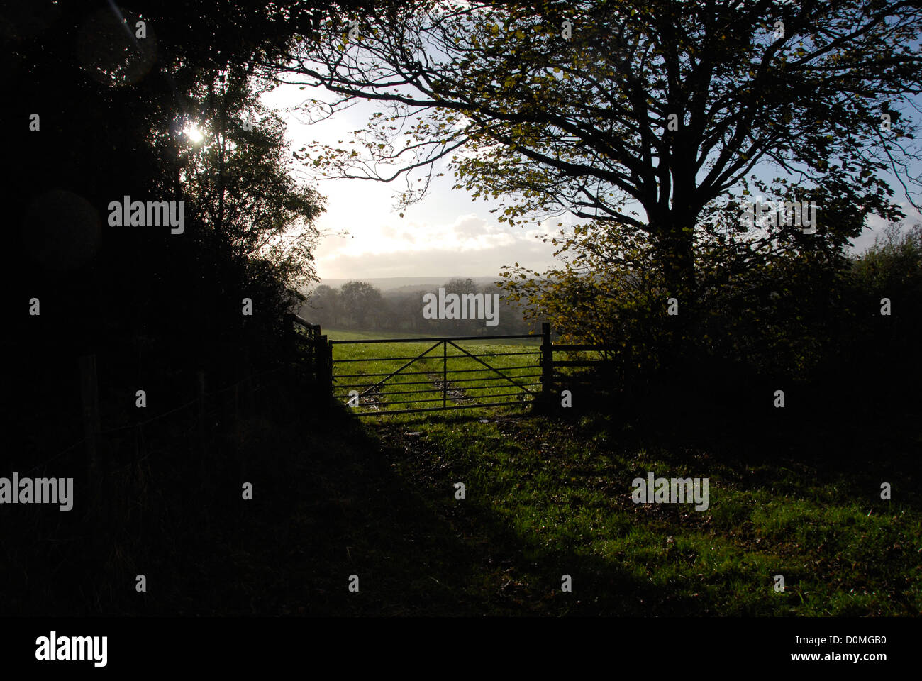 Blick auf Hof und Felder bei Sonnenuntergang, Wales UK Stockfoto