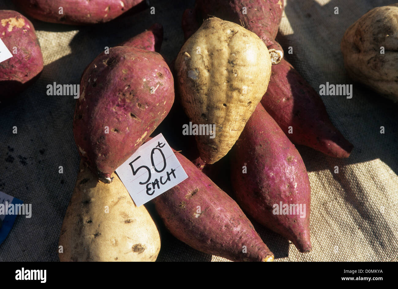 Papua Neu Guinea, Alotau, süsse, Kartoffeln auf den Markt mit Preisschild von 50 t jedem Stapel. Stockfoto