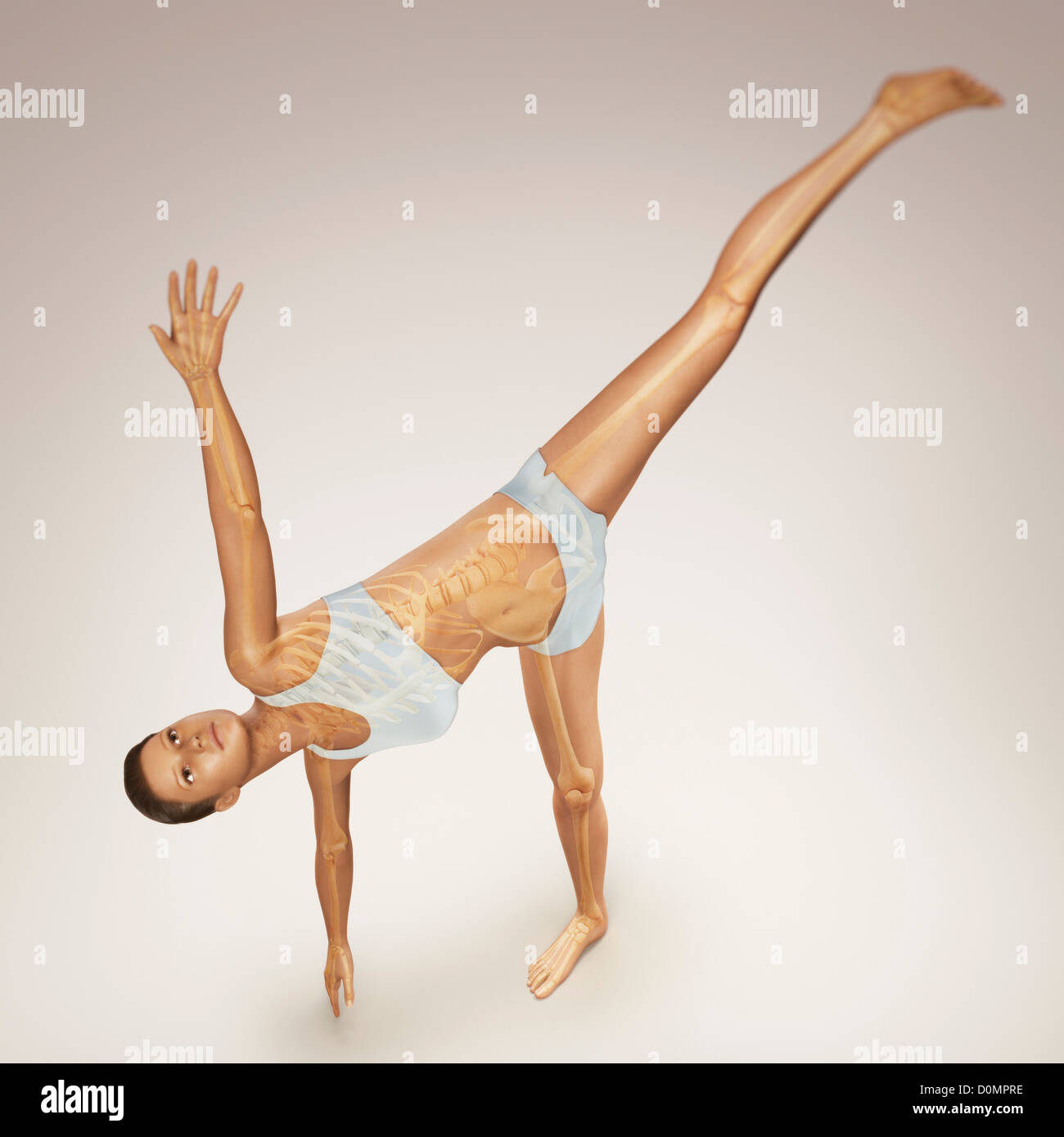 Skelett über einen weiblichen Körper in Halbmond-Pose zeigt die Skelette Ausrichtung von diesem bestimmten Yogastellung geschichtet. Stockfoto