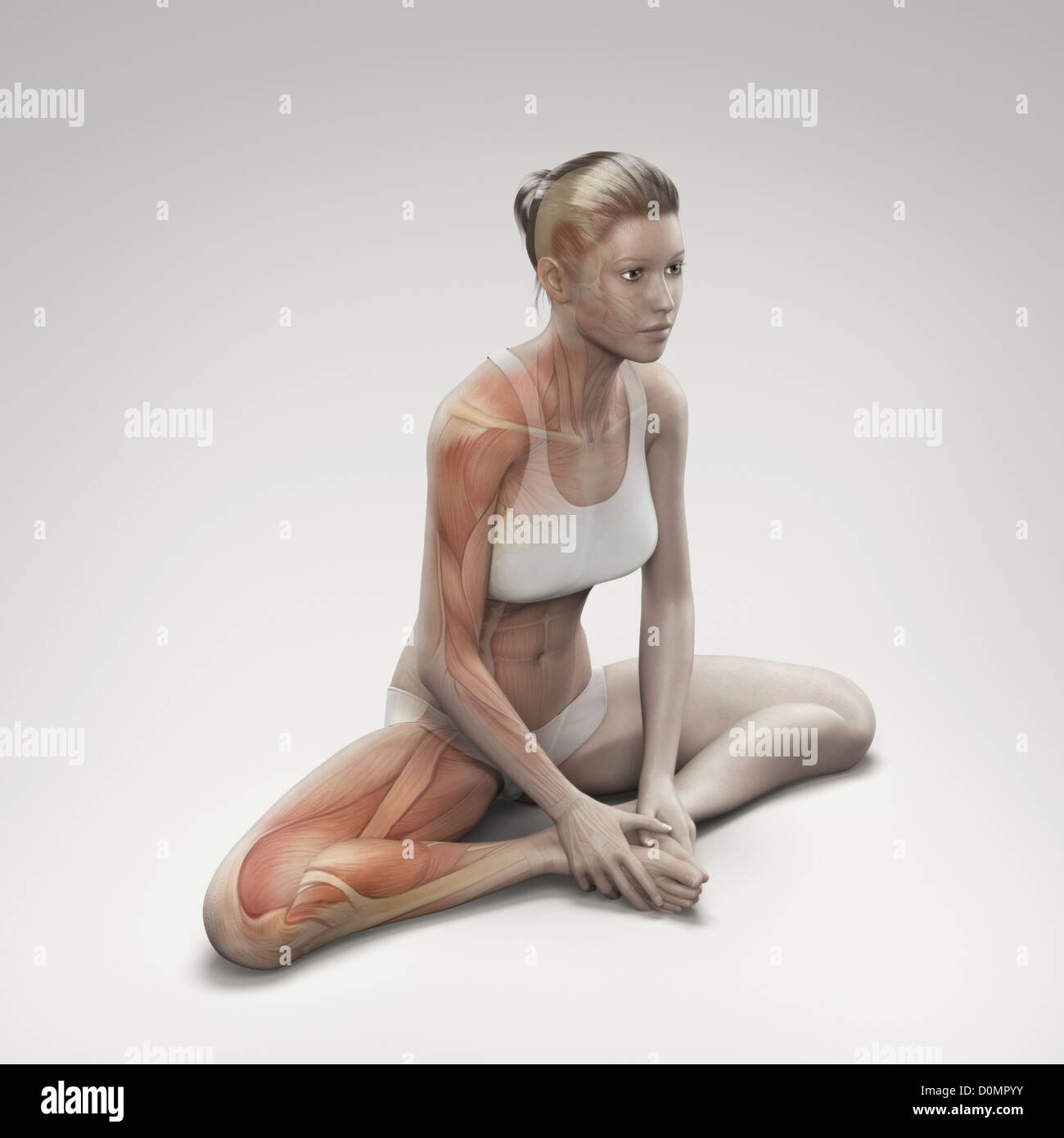 Muskulatur über einen weiblichen Körper in der gebundenen Winkel Pose zeigt die Aktivität in dieser bestimmten Yogastellung geschichtet. Stockfoto