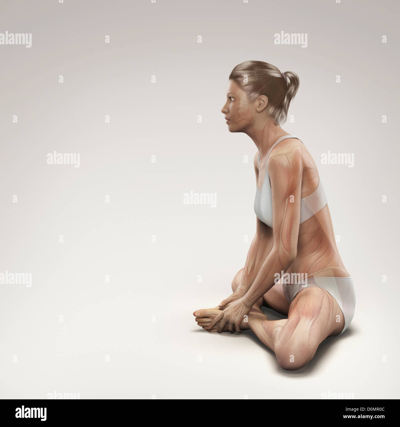 Muskulatur über Frauenkörper in gebundenen Winkel-Pose, die Aktivität bestimmter Muskelgruppen in dieser bestimmten Yoga-Haltung zeigen geschichtet. Stockfoto