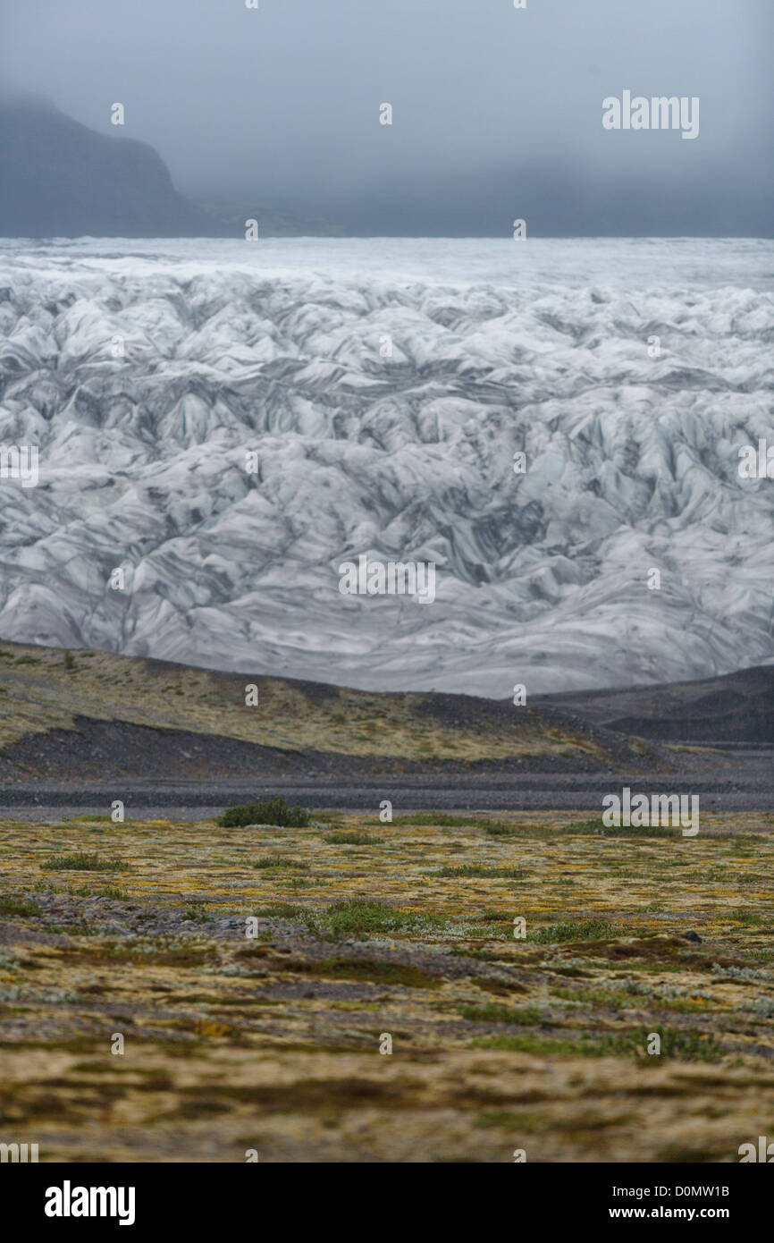 Skaftafellsjökull Gletscher Kopf, Zunge des Vatnajökull-Gletschers. Skaftafell Nationalpark. Island Stockfoto