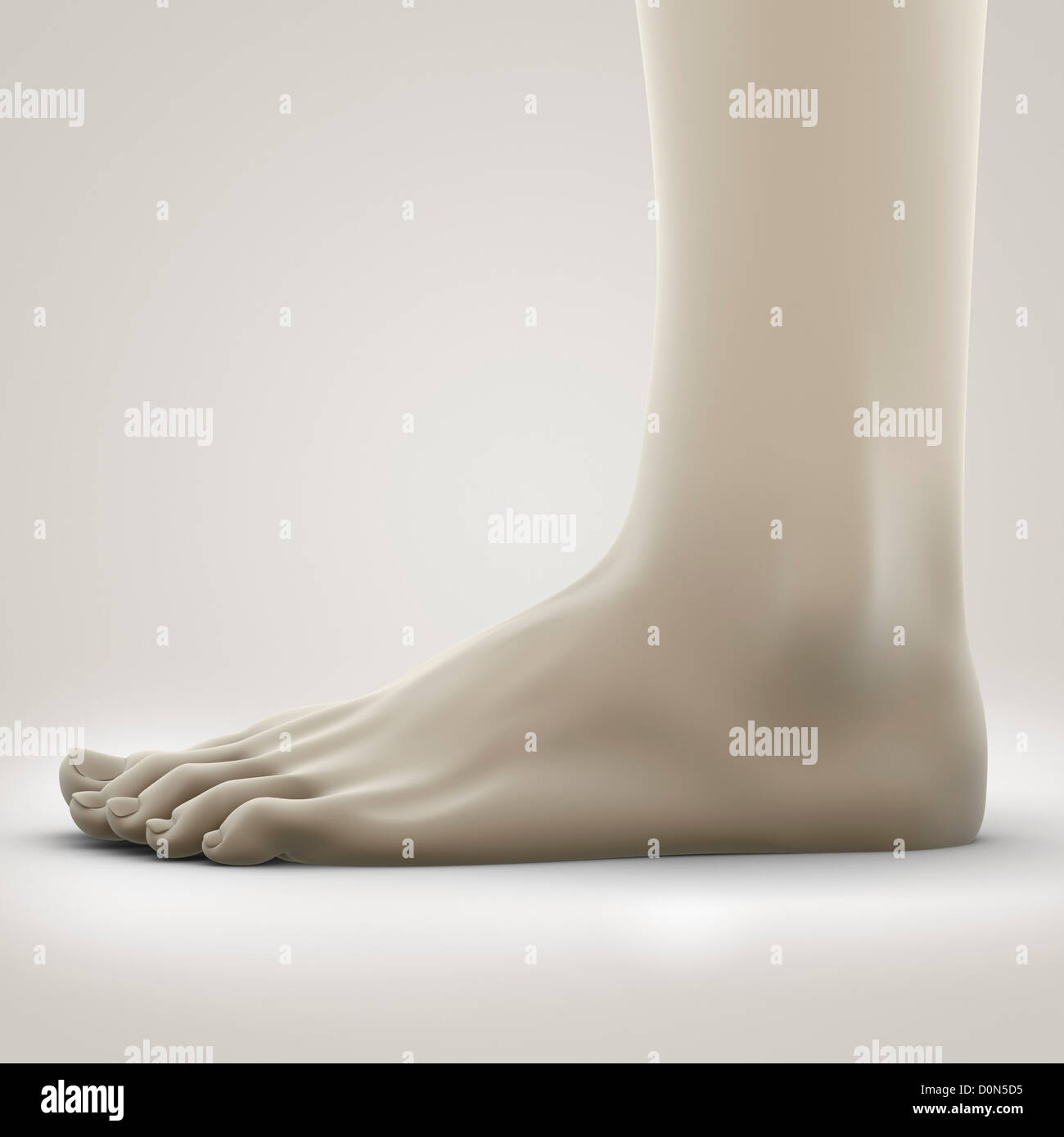 Stilisierte digitale Illustration des linken Fußes von einer Seitenansicht. Stockfoto