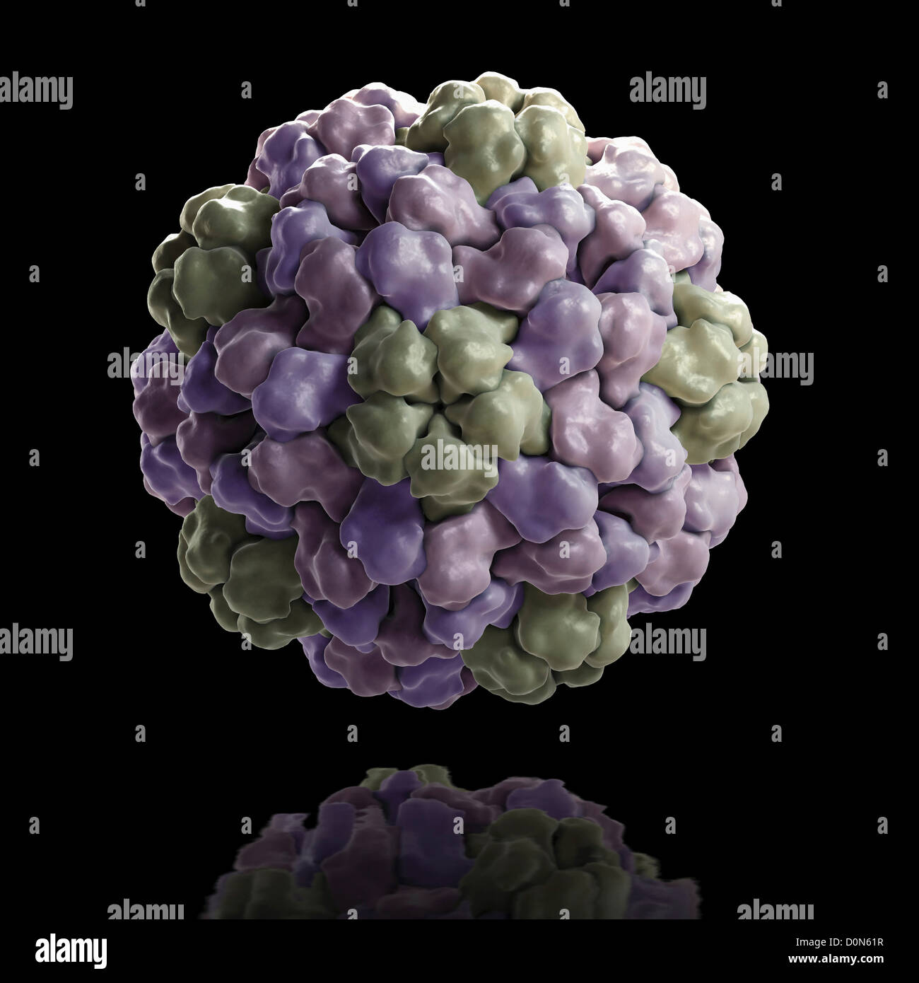 Kristallographische Struktur des Brome Mosaik Virus oder des BMV (PDB 1JS9). Stockfoto