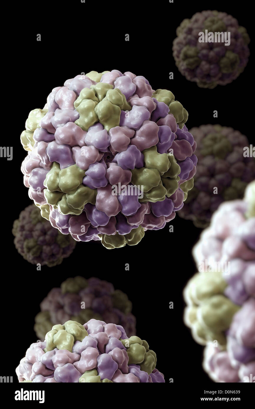 Kristallographische Struktur des Brome Mosaik Virus oder des BMV (PDB 1JS9). Stockfoto
