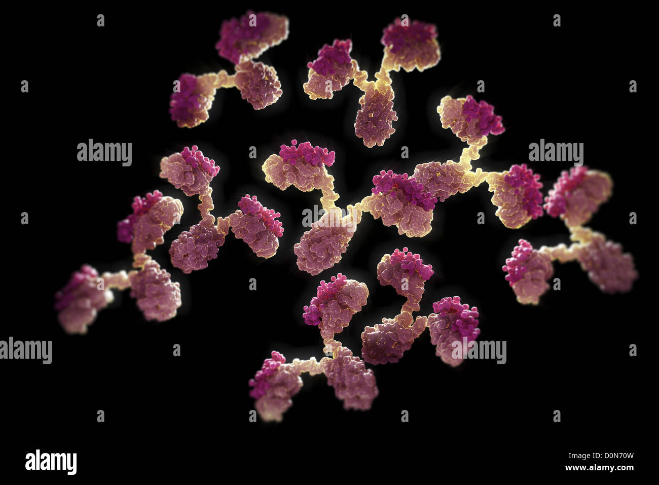 Eine Gruppe menschlicher Antikörper y-förmigen Proteine verwendet Immunsystem verteidigen gegen Fremdkörper wie Bakterien, Viren. Stockfoto