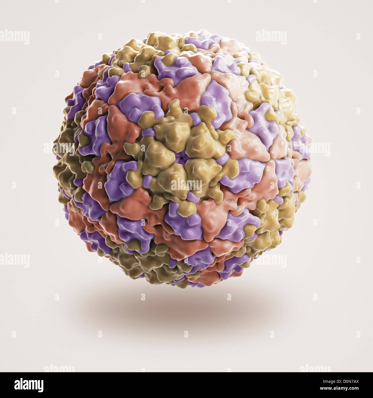 Struktur - und Klauenseuche-Virus (1BBT) die Erreger, die Fuß - und - Klauenseuche verursacht. Dieses Picornavirus ist Stockfoto