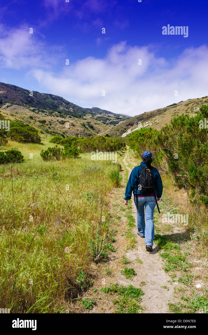 Wanderer in Skorpion Canyon, Santa Cruz Island, Channel Islands Nationalpark, Kalifornien, USA Stockfoto