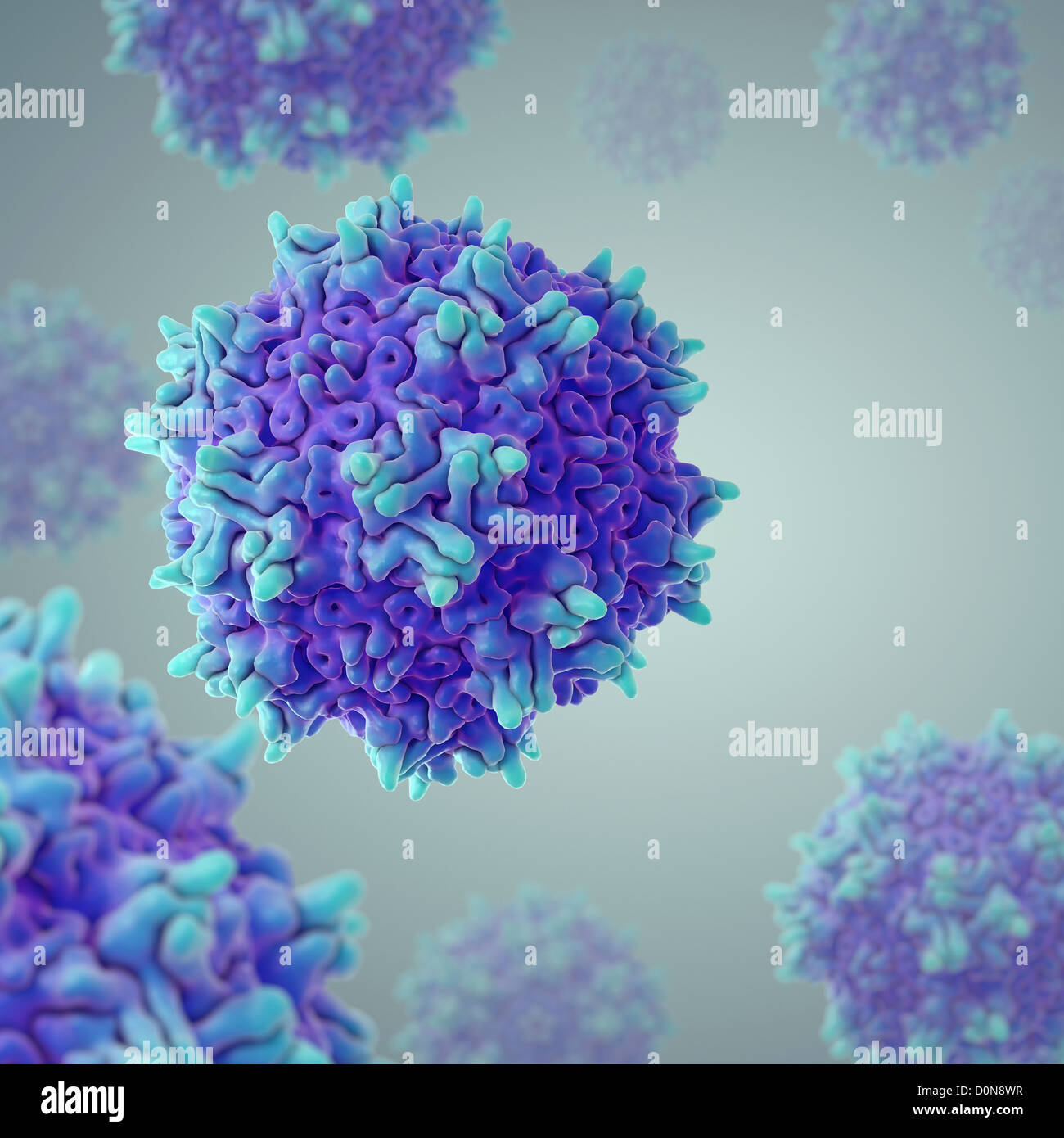 Atomare Struktur von Adeno-Associated Virus (PDB 1LP3), ein Vektor für die menschlichen Gentherapie. Stockfoto