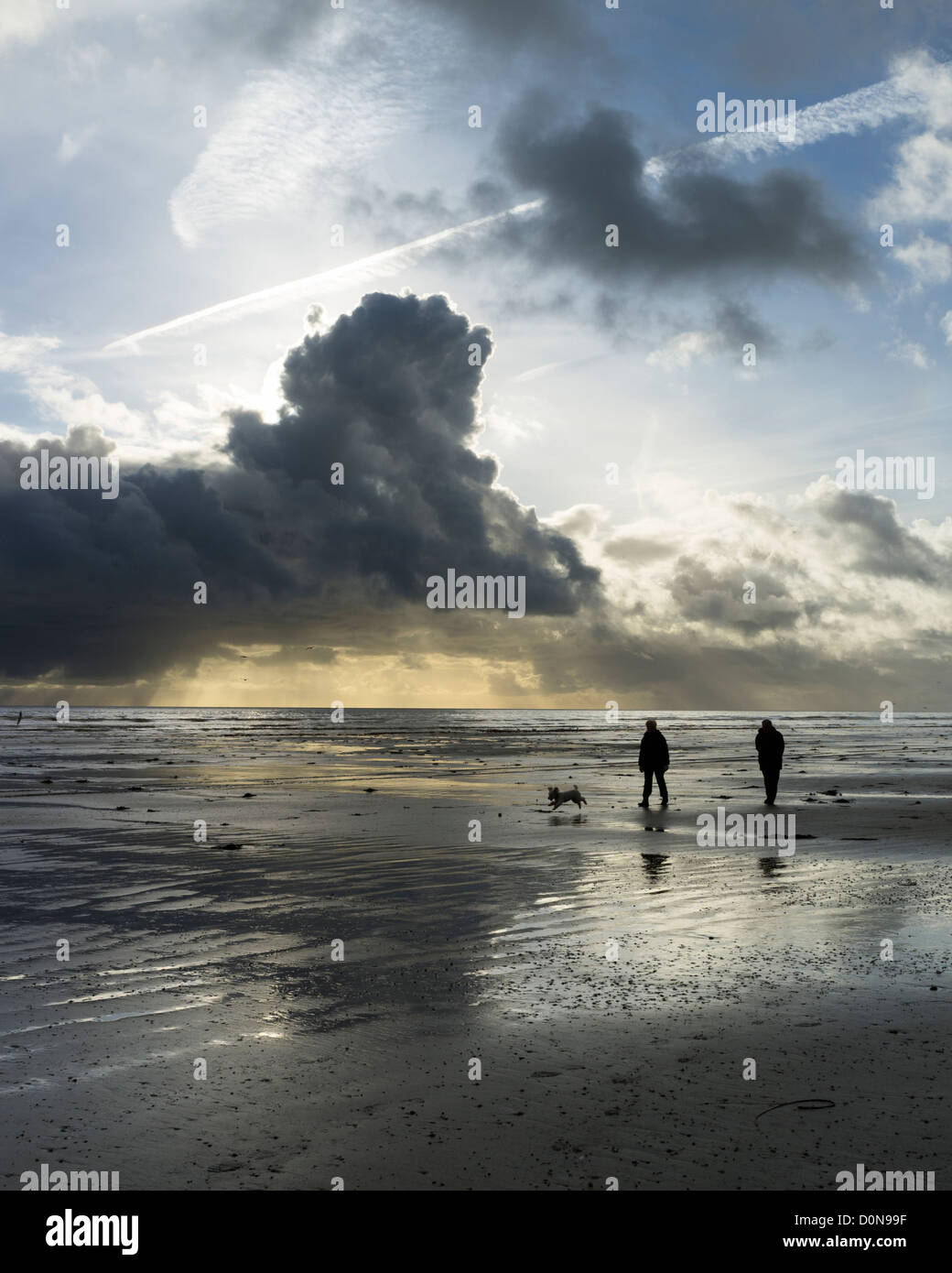 Ein kleiner Hund Grenzen entlang des Strandes vor ein paar (in der Silhouette) Stockfoto