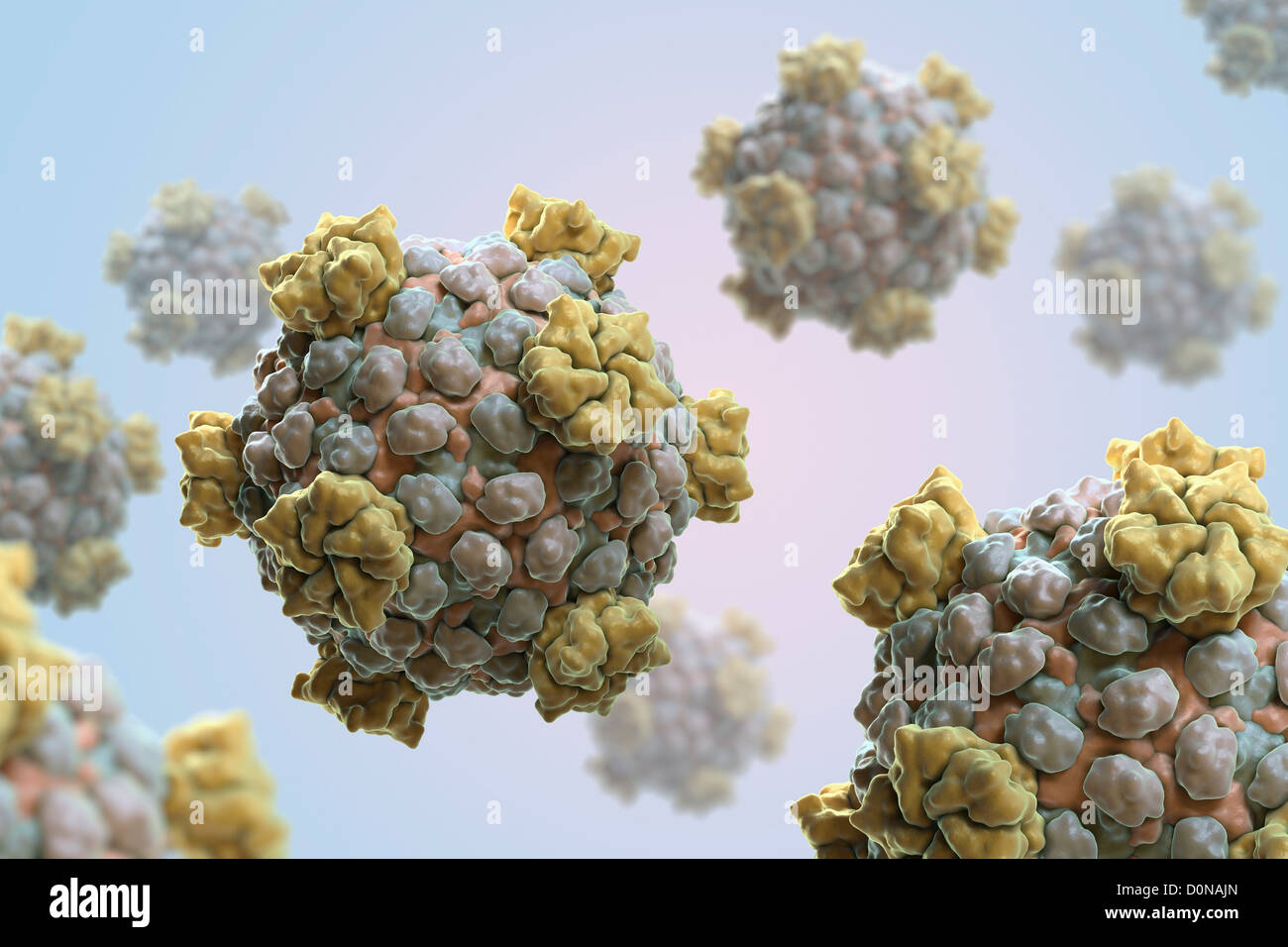 Struktur Reovirus Kern (PDB 1EJ6) synthetisiert ändert Exporte virale Boten-RNA. Wirtseigenen Infektion tritt häufig auf Stockfoto