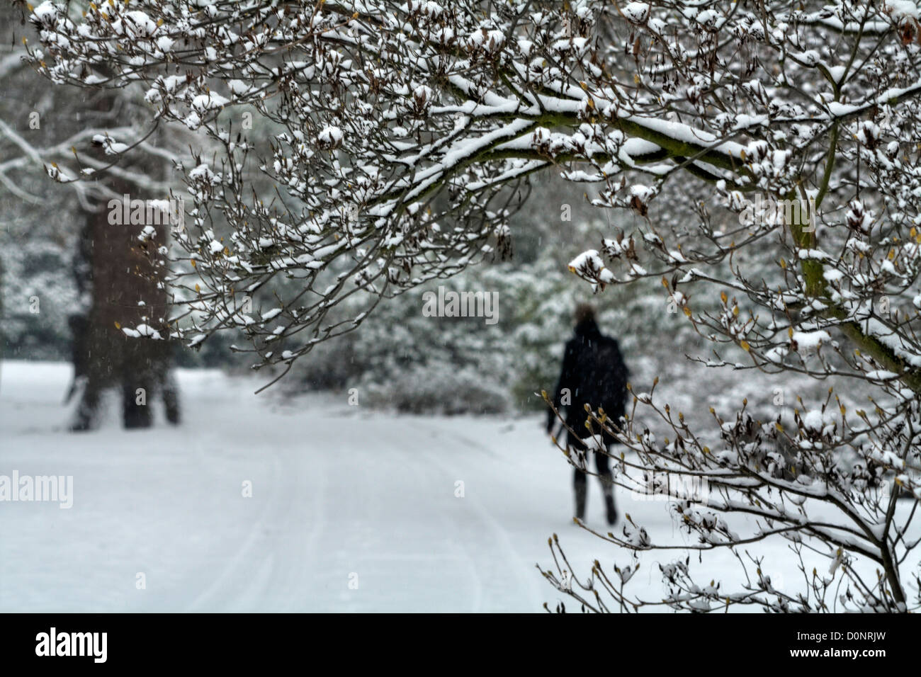 Wandern in den frischen Schnee im Greenwich Park, London Stockfoto