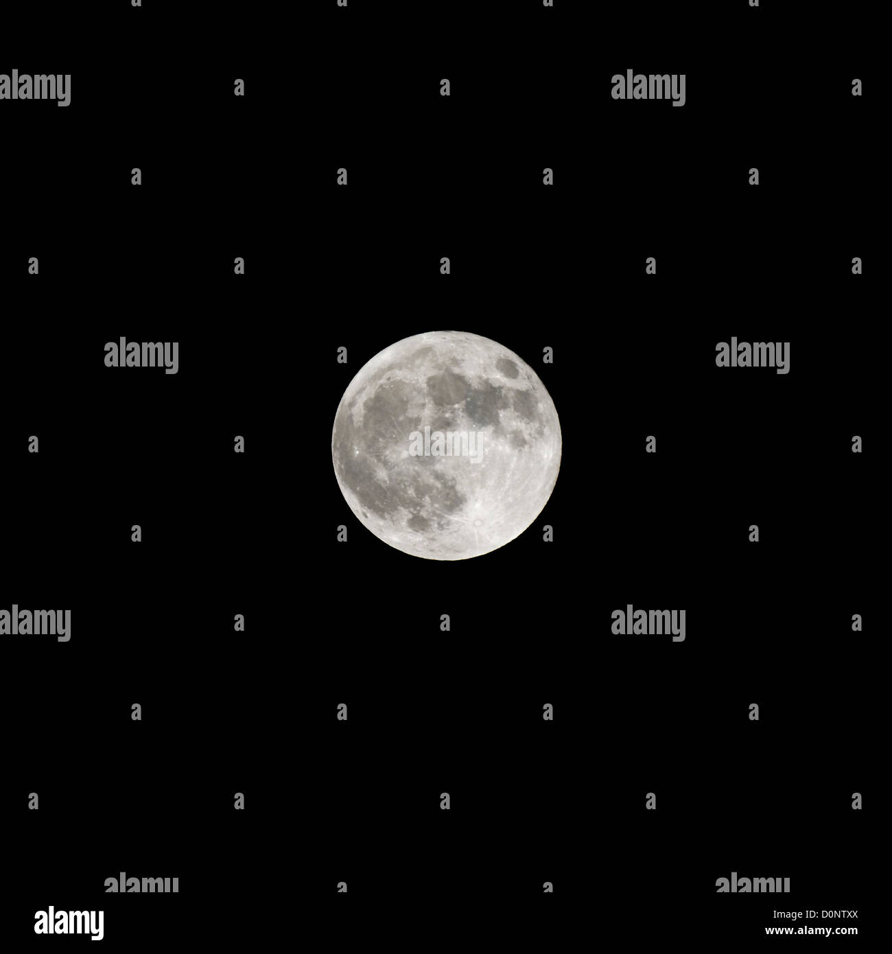 Vollmond in der Nacht Stockfoto