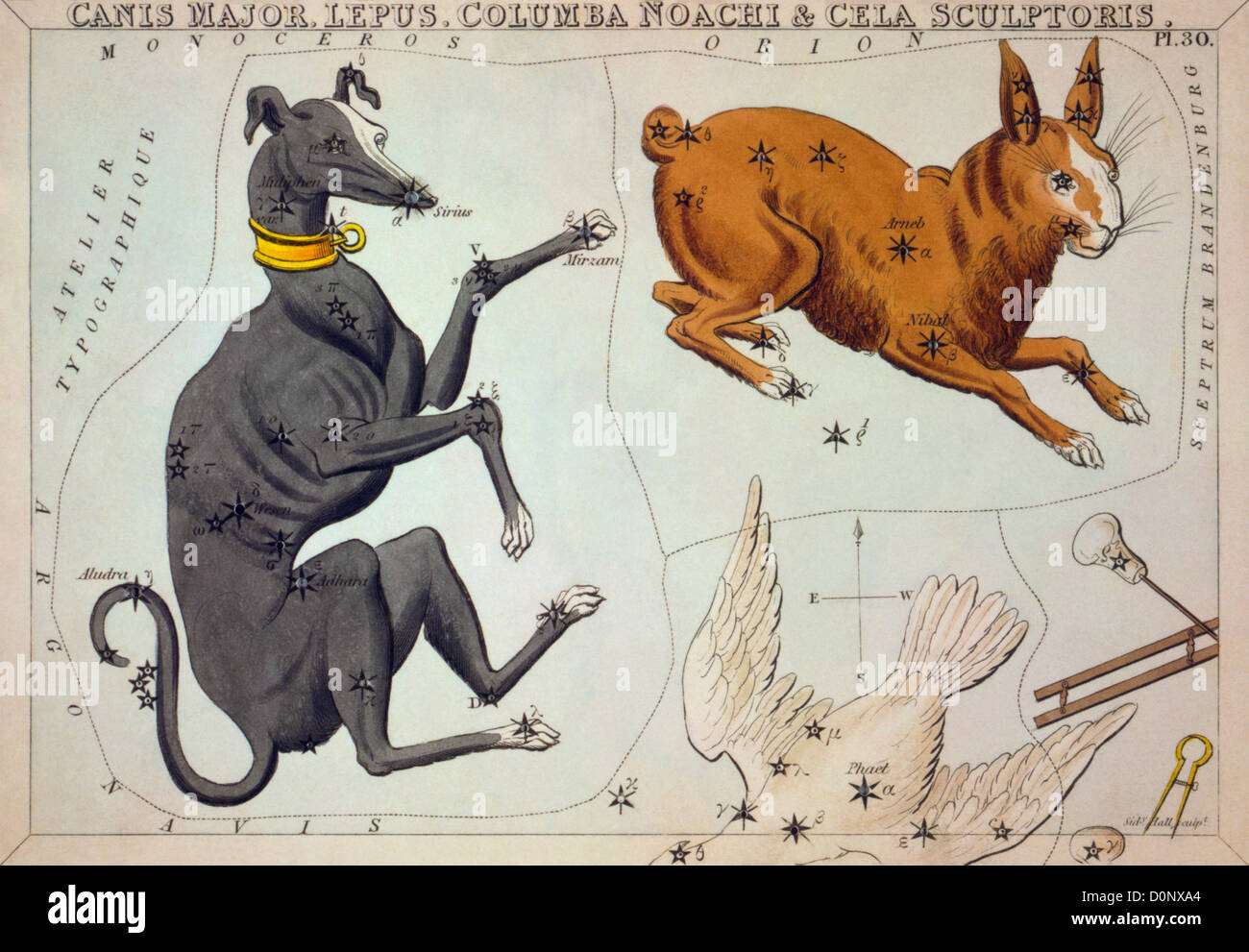 Karte der Konstellation Canis Major und andere Stockfotografie Alamy