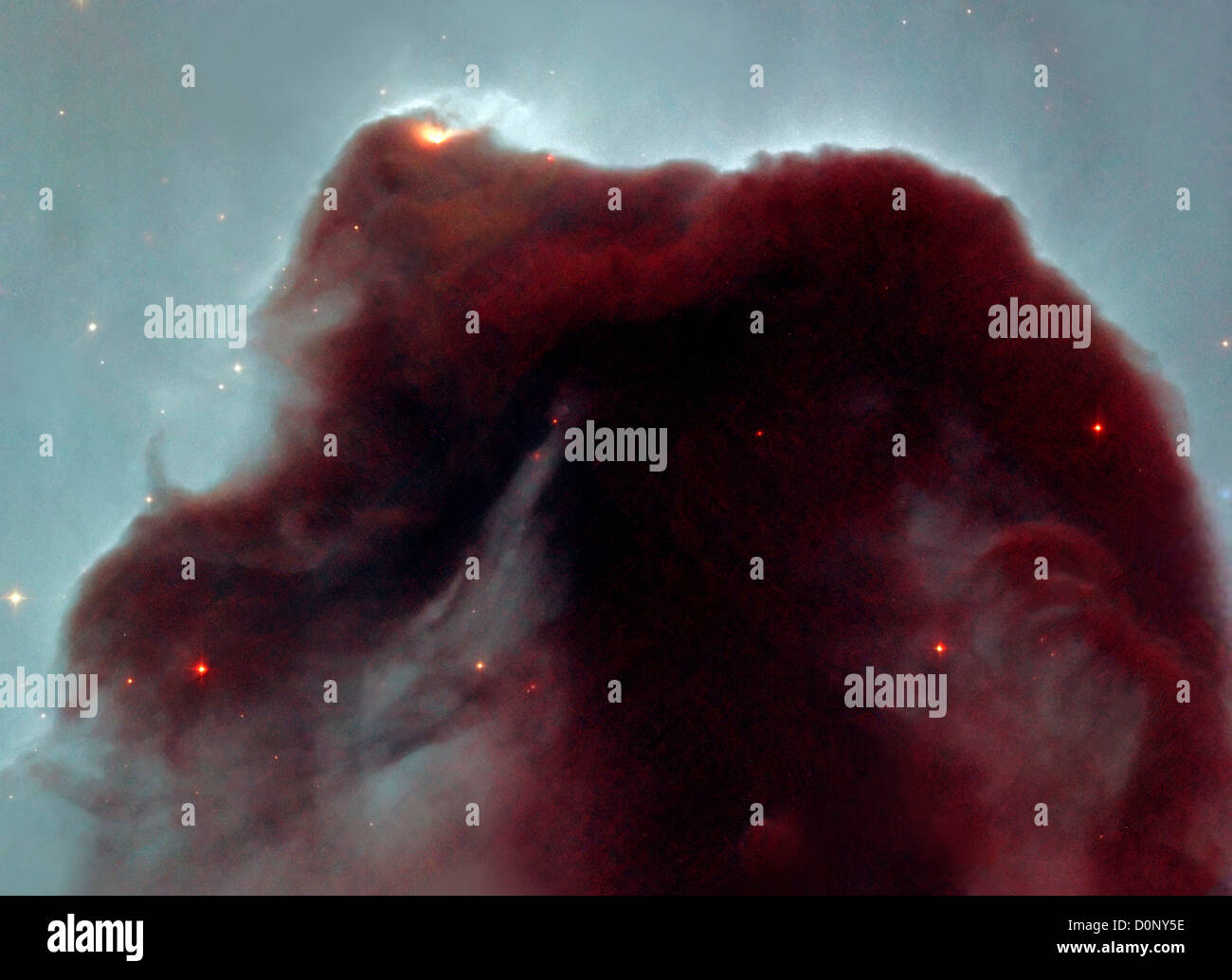 Dunkler Pferdekopf-Nebel Stockfoto