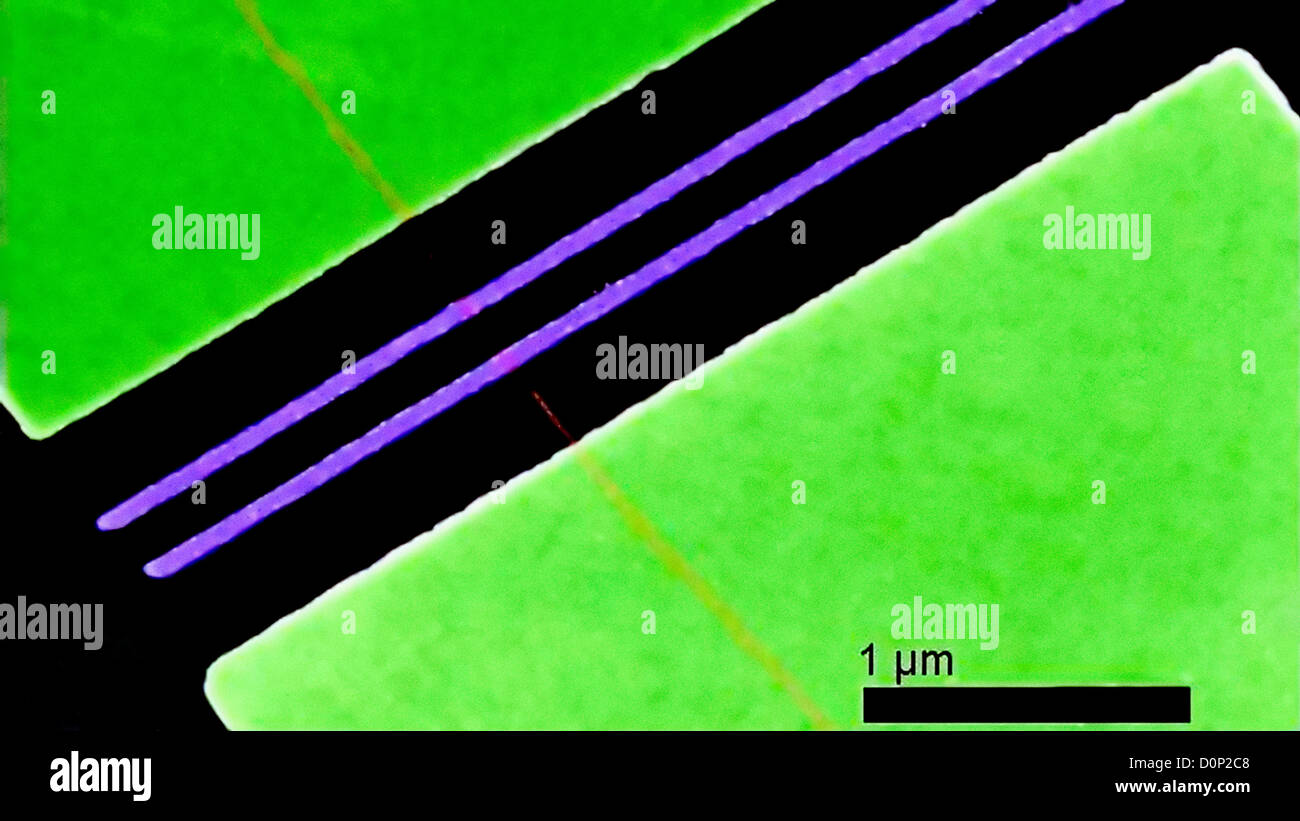 Transistoren basierend auf Kohlenstoff-Nanoröhren Stockfoto