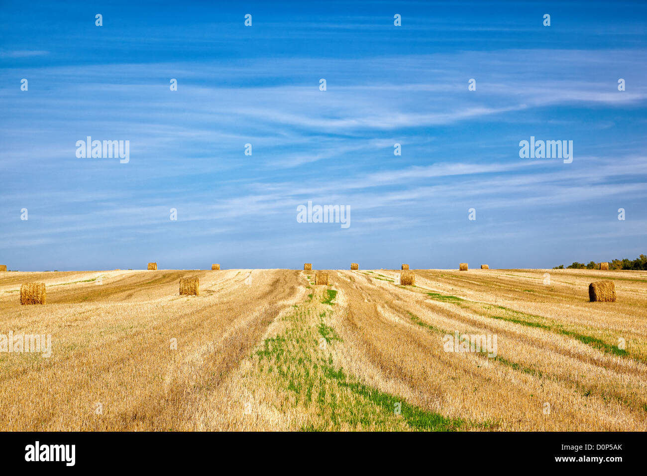 Altai Steppenlandschaft Stockfoto