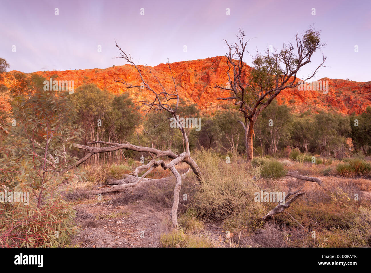 Schroffe Felsen in der Dämmerung in Trephina Gorge in East MacDonnell Ranges in der Nähe von Alice Springs Stockfoto