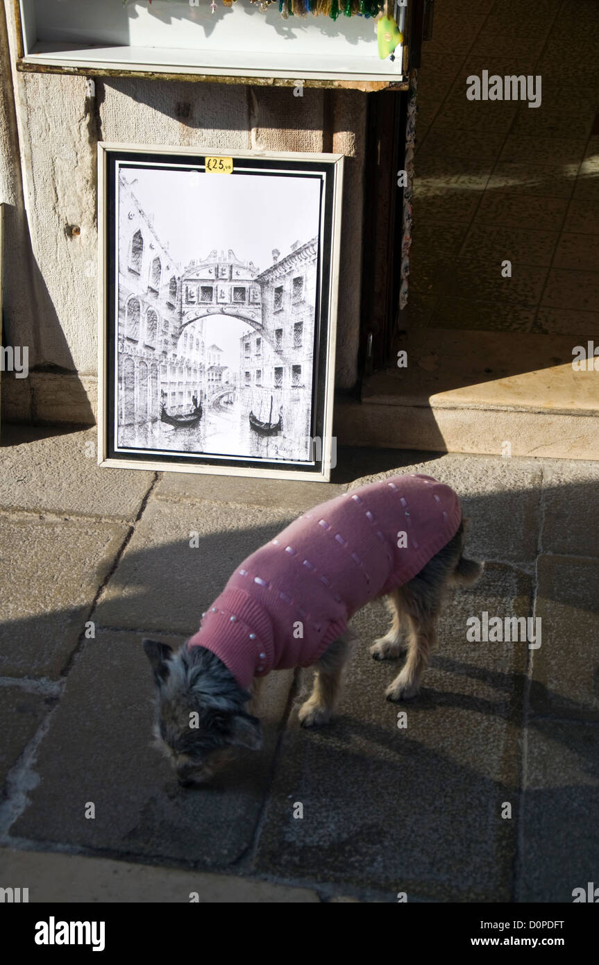 Hund trägt einen rosa wollenen Mantel auf einer venezianischen Straße mit Kunstwerken von Venedig Brücke der Seufzer Stockfoto