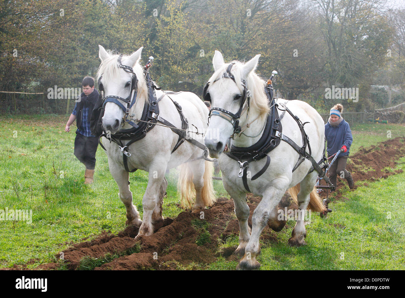 Bauernhof Bilder Pferde Pflügen Stockfoto