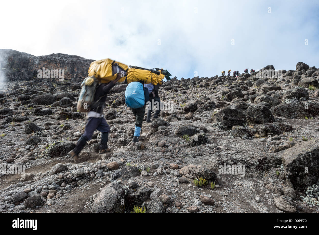 MOUNT KILIMANJARO, Tansania – Träger auf dem Weg zwischen Moir Hut Camp (13.660 m) und Lava Tower (15.215 m) auf der Lemosho Route des Kilimanjaro. Auf dieser Höhe weicht die Heidezone (Moorland) der felsigen alpinen Wüste. Stockfoto