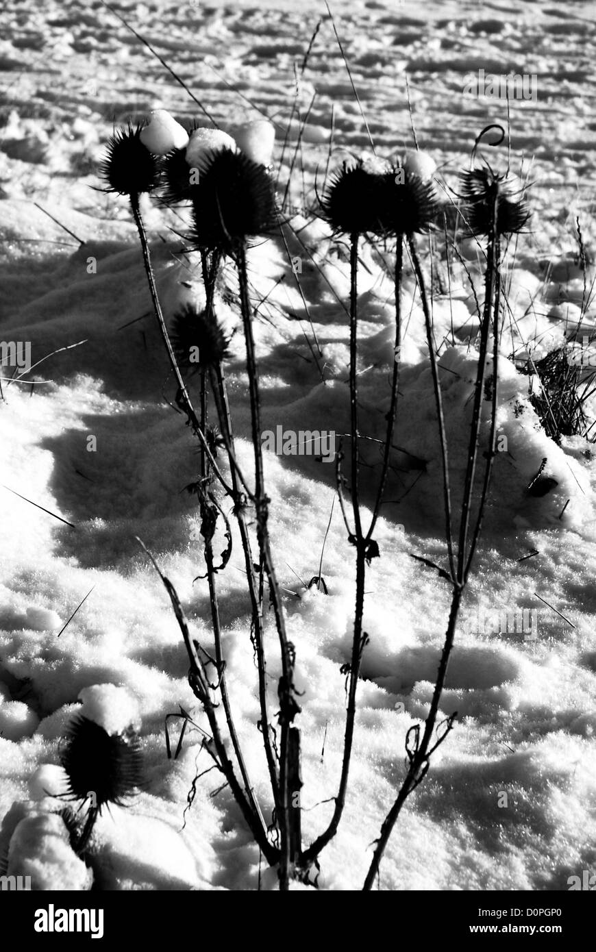 Morecambe Bay Winterszene B & W Stockfoto