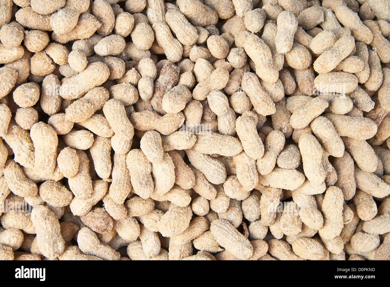 Bio gesalzene Erdnüsse In der Schale in A Street Market Stockfotografie -  Alamy