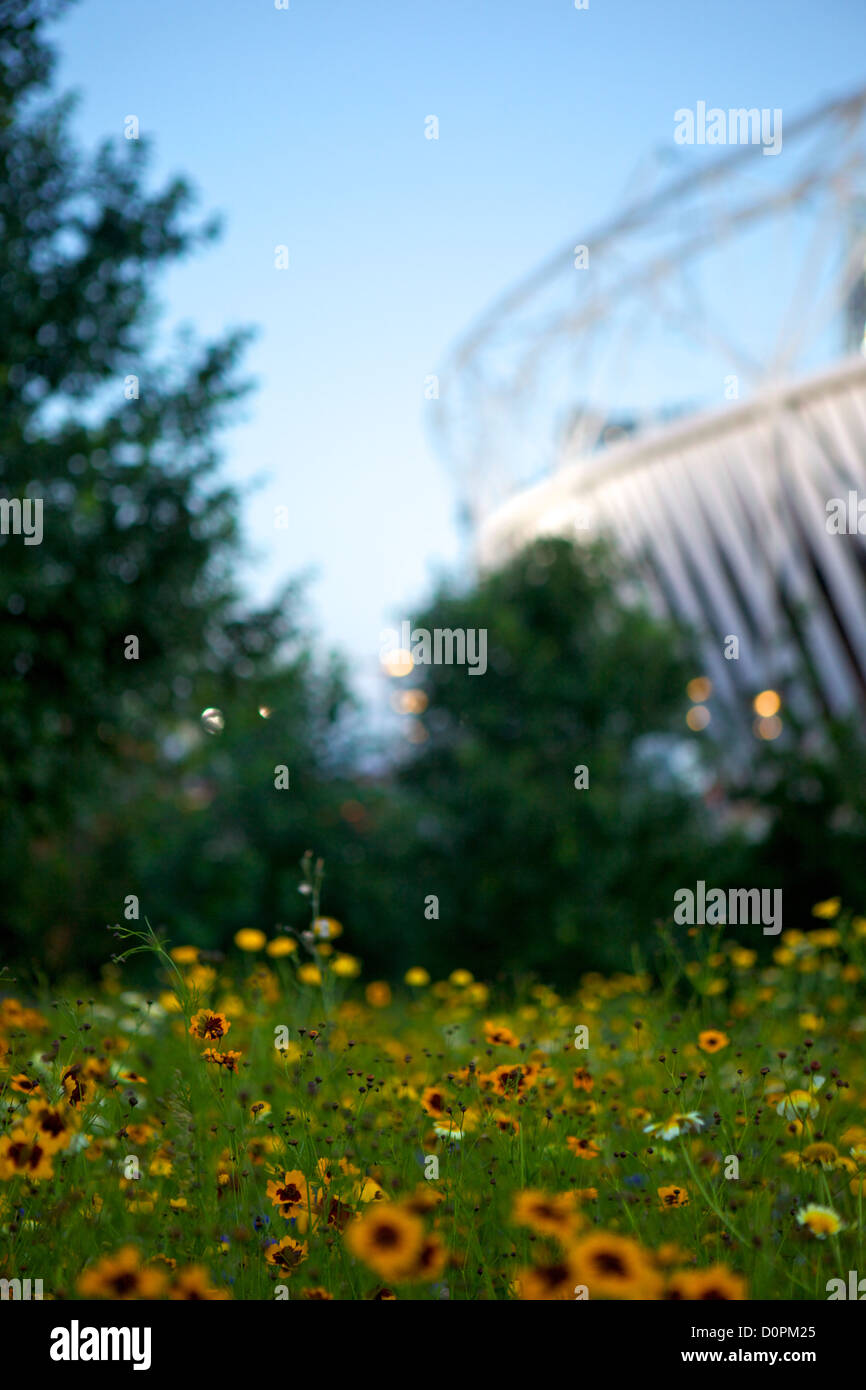 Olympiastadion und Blumen an der Dämmerung, London 2012 Olympische Stratford, East London, UK Stockfoto