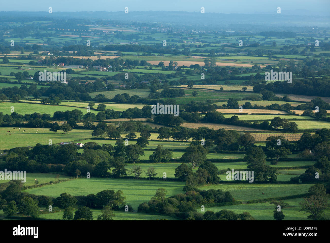 Die Blackmore Vale von Bulbarrow Hill, Dorset, England, UK Stockfoto