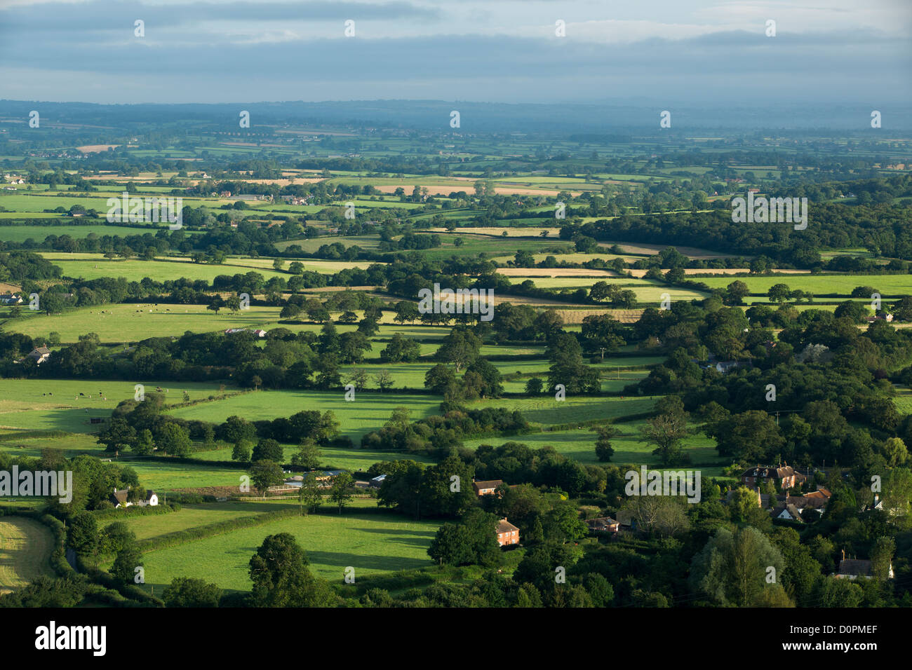Die Blackmore Vale von Bulbarrow Hill, Dorset, England, UK Stockfoto