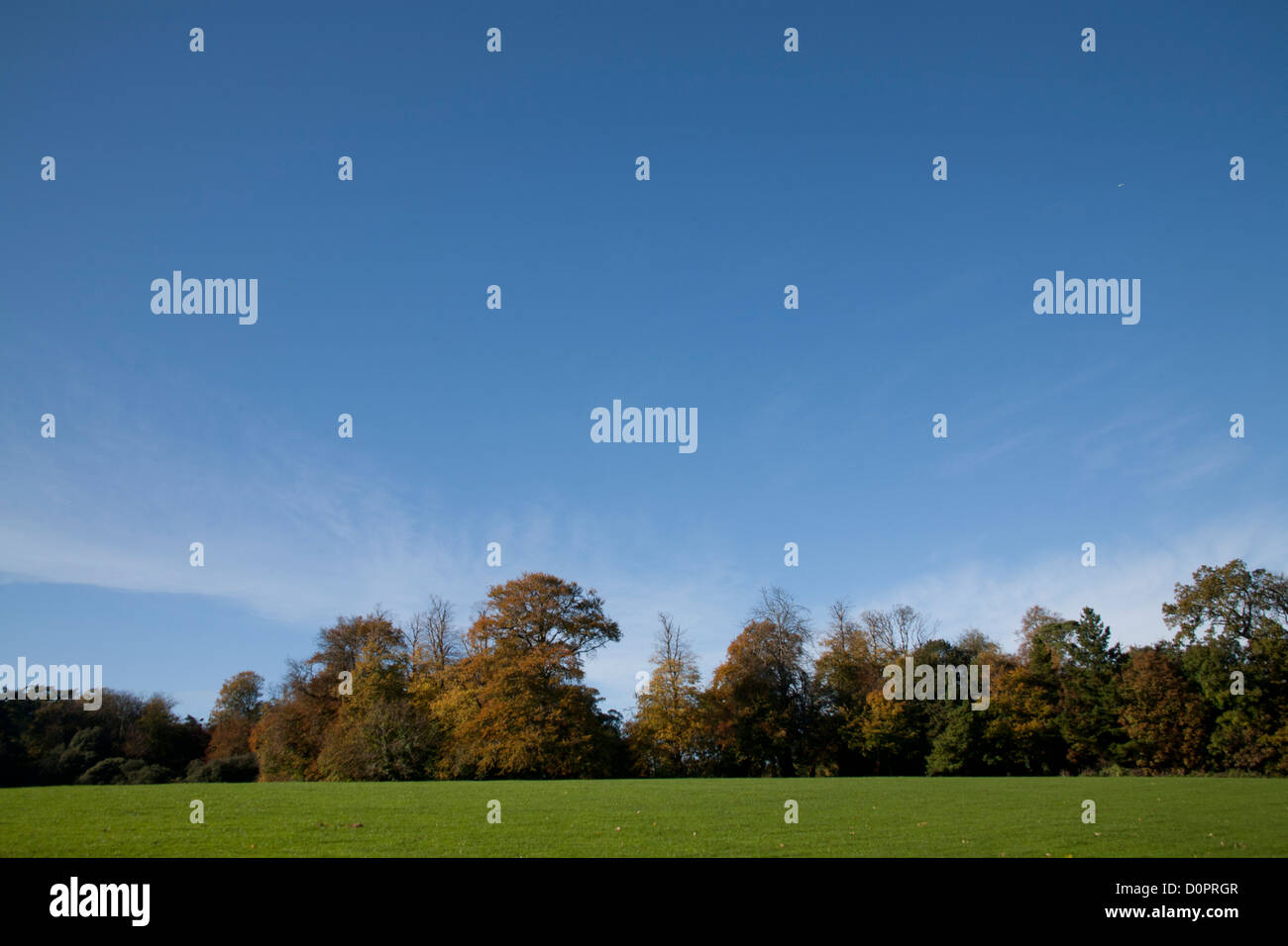 Leeres Feld in Cabinteely Park Dublin Irland Stockfoto