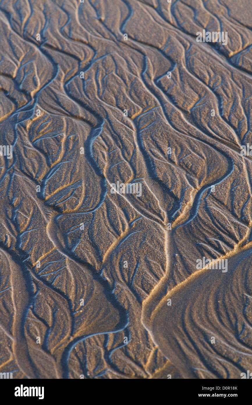 Sand-Muster, Lake-Clark-Nationalpark, Alaska. Stockfoto