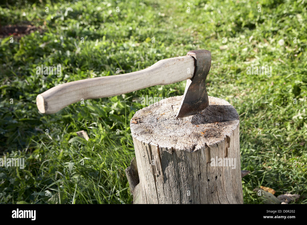 Axt mit Pack für Kabine Stockfoto